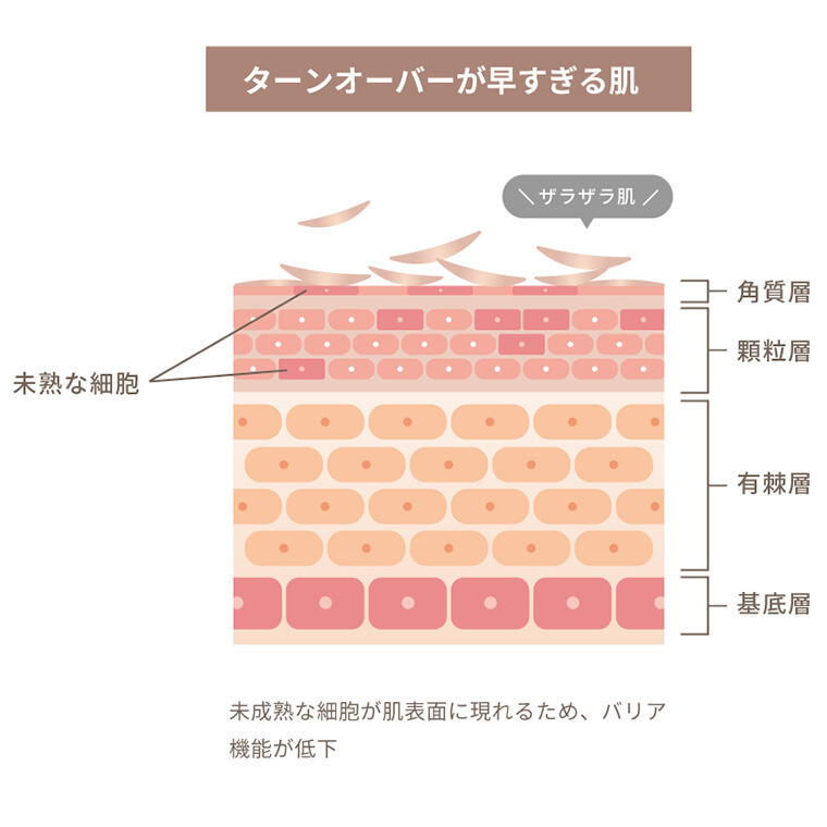 ターンオーバーが早すぎる場合